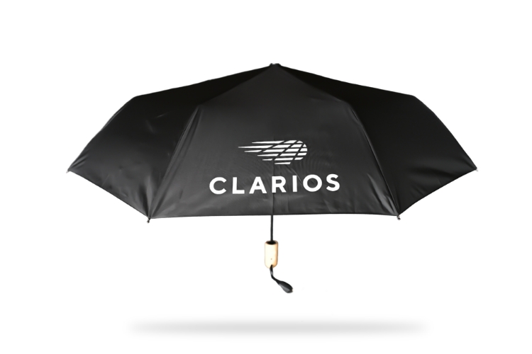 Bild von Taschenschirm 